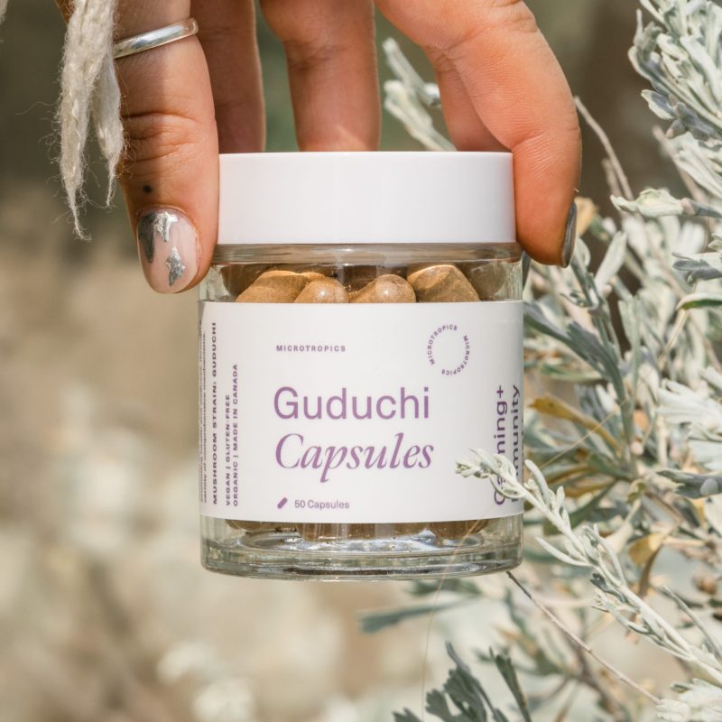 Guduchi capsules