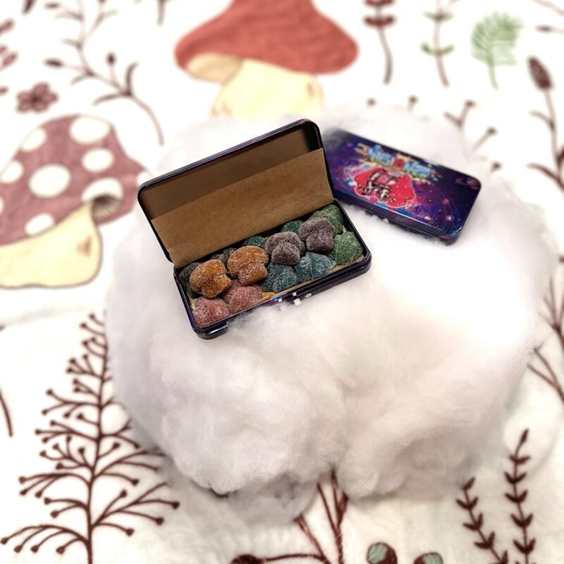 Visionz Mushroom Gummies
